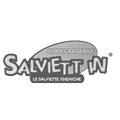 logo_salviet