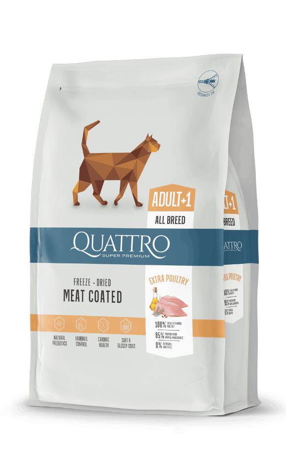 QUATTRO adult hrana za mace 1.5kg i 20kg