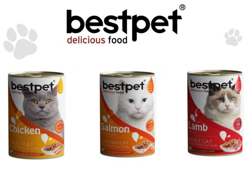 best-pet-hrana-za-mace
